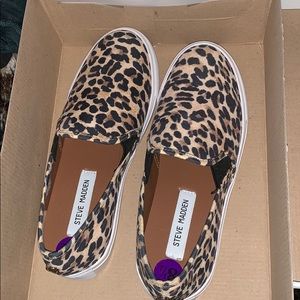 Steve Madden sneakers